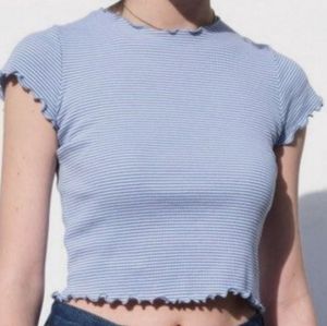 Brandy melville crop top